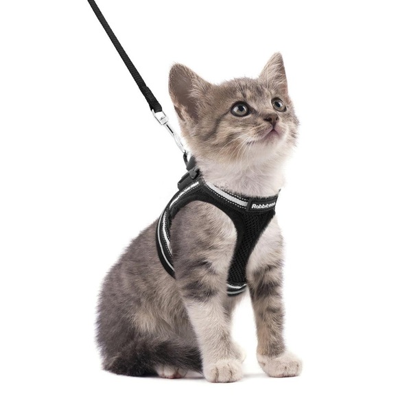 Rabbitgoo Adjustable Kitten Harness - Picture 1 of 7